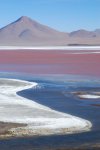 Laguna Colorada