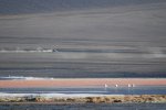 Laguna Colorada