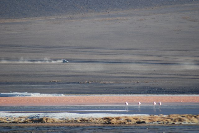 Laguna Colorada