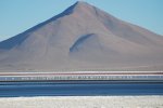 Laguna Colorada
