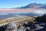 Laguna Colorada