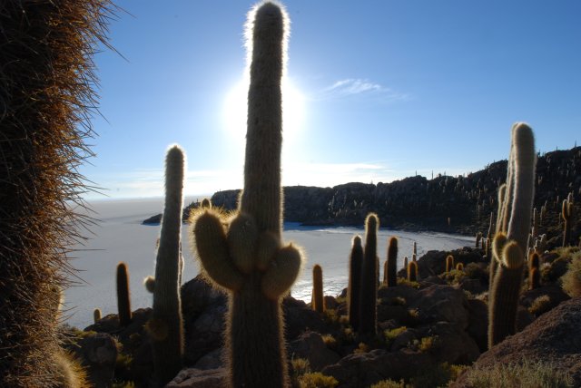 Isla Inkahuasi