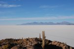 La ruta intersalar
