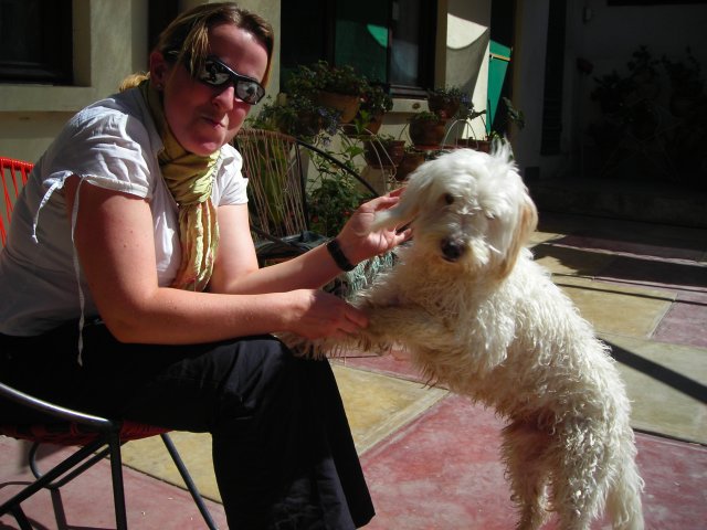 Nico le chien