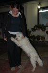 Nico le chien...