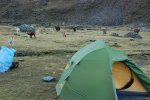 Jour 1: Camping