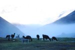 Jour 1: La brume remonte des Yungas