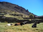 Jour 2: Piedra Grande