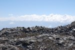Jour 3: La vue sur la cordillera Apolobamba
