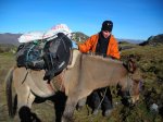 Jour 4: la nouvelle muletière