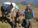 Jour 4: Le guide, Lino et sa mule, Huari 