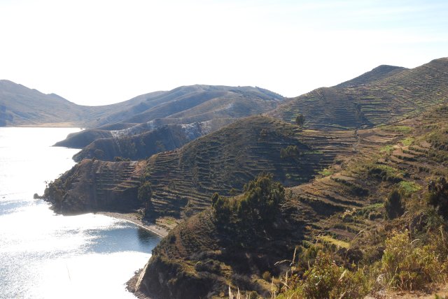 Isla del Sol: terrasses Incas