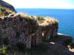 Pilkokaina