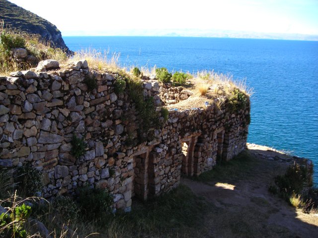 Pilkokaina