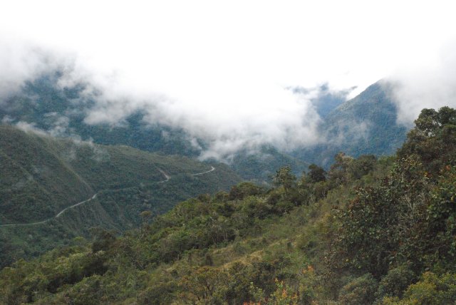 La forêt de nuages