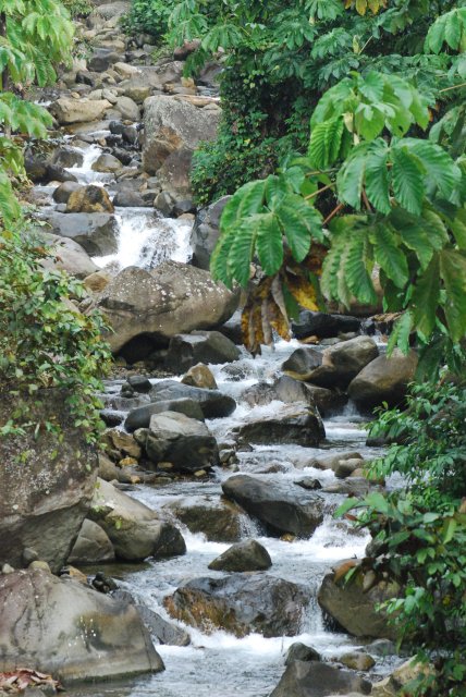 Ca manque pas d'eau...