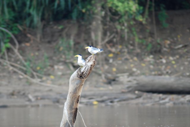 DSC_2831.JPG