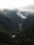 Cloudforest