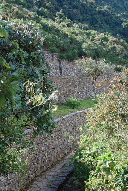 Terrasses courbées