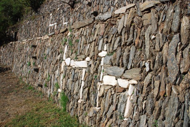 Les llamas del sol