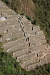 Les llamas del sol