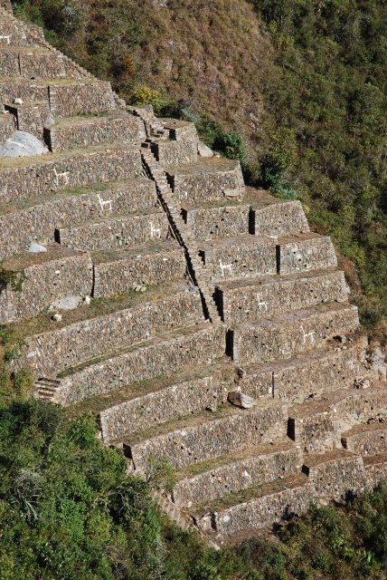 Les llamas del sol