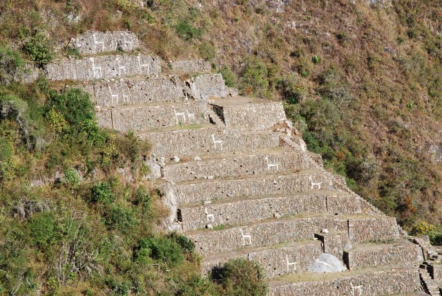 Les llamas del sol