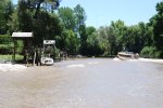 Tigre