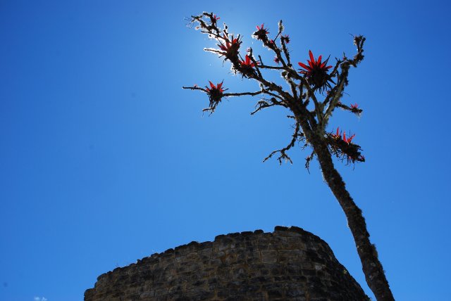La tour de garde