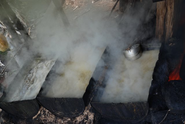 Preparation de la chicha de canne