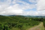 Manizales et la Zona Cafetera