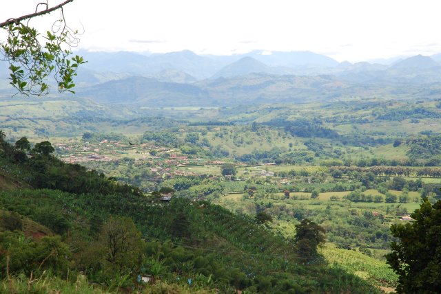La zona cafetera
