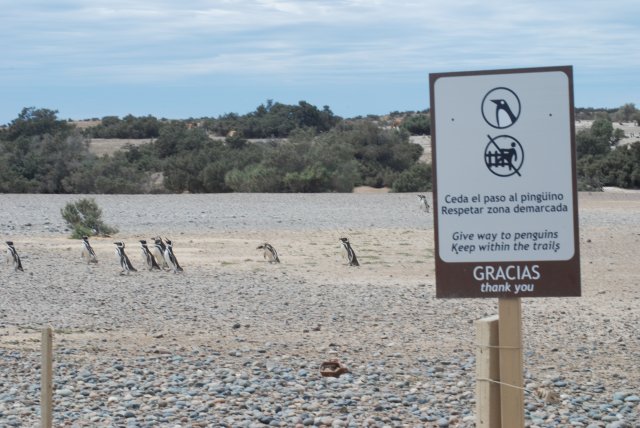 C'est le moment d'aller pêcher
