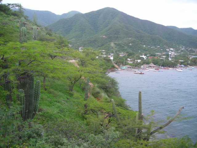 La baie de Taganga