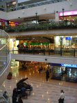Shopping