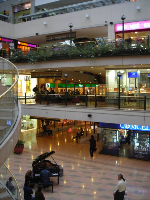 Shopping