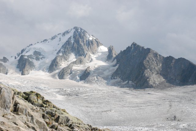 DSC_6387.JPG
