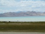 Yaks, lac et nuages