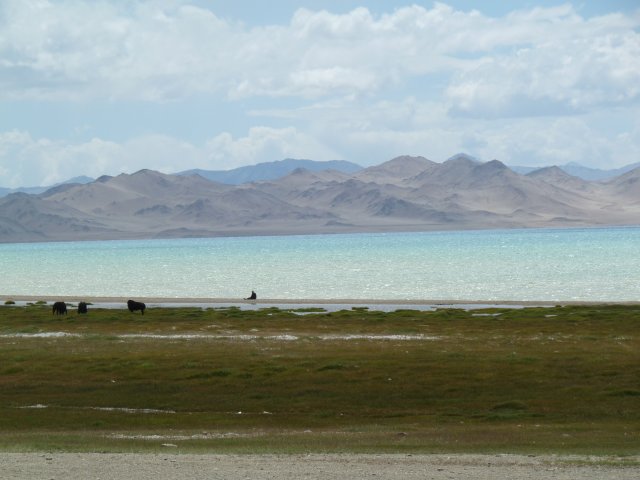 Yaks, lac et nuages