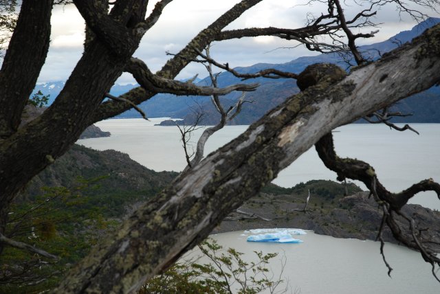 Jour 4: Icebergs