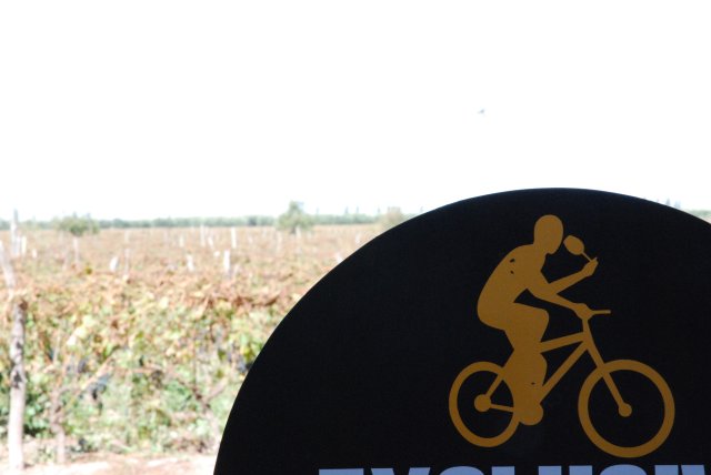 Un petit verre pour la route