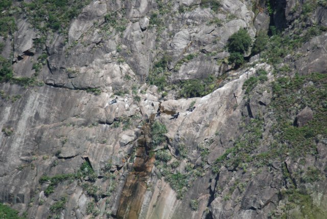 Le Bain des Condors