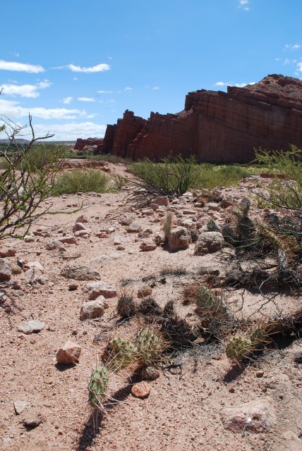 Quebrada de Cafayate: El Castillo