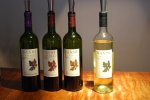Cafayate: la bodega Nanni...
