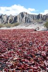 La route de Cachi