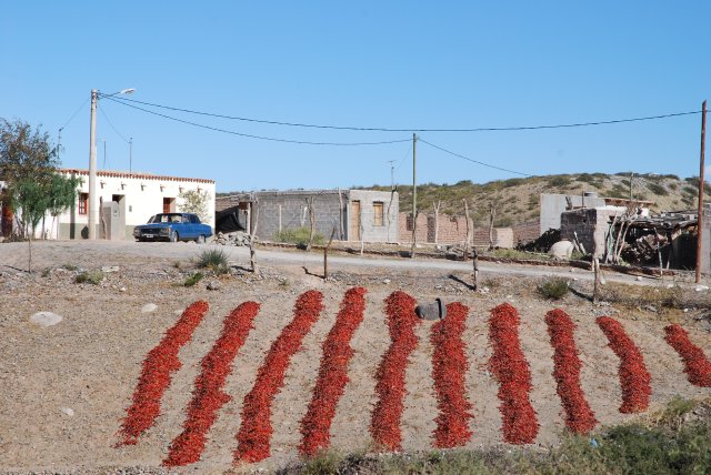 Piments et vieille Ford