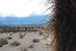 Parque Nacional Los Cardones