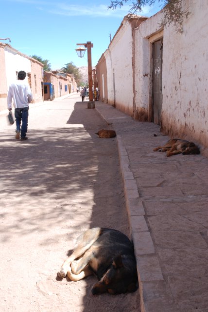 San Pedro Dogs