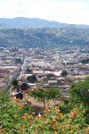 Sucre